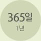 365일