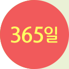 365일